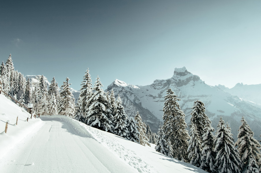 Genieße beim Winterwandern die Ruhe der unberührten Natur inmitten traumhafter Alpenkulisse.
