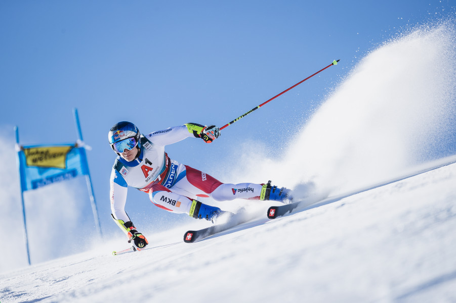 Alpine Skiing World Cup: Teams and Athletes 2023/2024 • Snow
