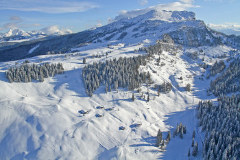 Das Skigebiet Steinplatte - Winklmoosalm eignet sich ideal für Familien und Genusscarver.