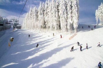 Über 27 Pistenkilometer warten in Winterberg darauf, entdeckt zu werden.