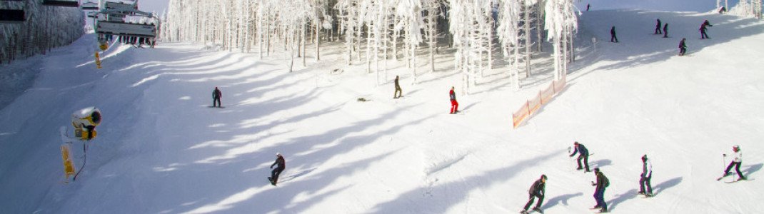 Über 27 Pistenkilometer warten in Winterberg darauf, entdeckt zu werden.