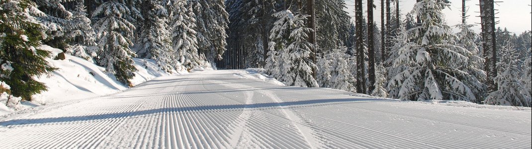 Wer sich gleich früh morgens aufmacht, den erwarten frisch präparierte Pisten am Wurmberg.