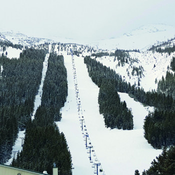 Das Skigebiet Castle Mountain wird von den skifahrbegeisterten Bürgern vor Ort betrieben.