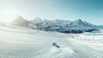 In der Jungfrau Region erwarten dich 206 km Pisten.