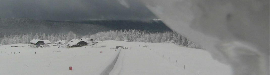 Minusgrade und Schneefall: Auch die Webcam in Mitterdorf im Bayerischen Wald ist schon eingeschneit.