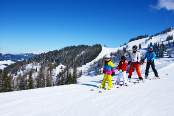 Fans of winter sports will find about 30 km of runs in the subarea Alpendorf. The majority is of moderate difficulty.