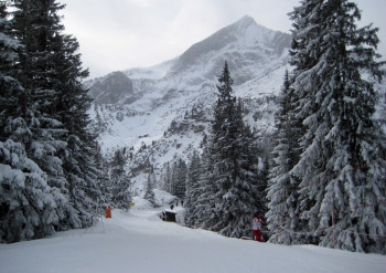 Der Seillift wird durch einen Skitunnel mit Förderband ersetzt. So kann auch der Skiweg verbreitert werden.