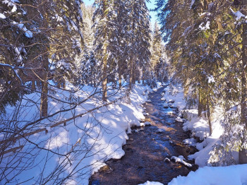 Im Angerbach wurde früher Gold gewaschen.