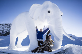 37 elephants crossed the Alps along with Hannibal.