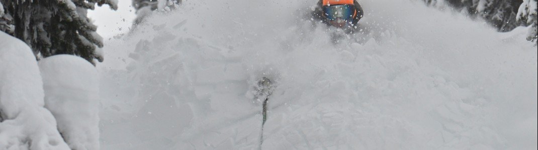 Ein Traum: Tree Skiing in Champagne-Powder