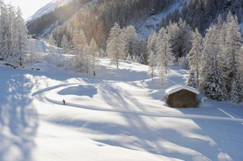 Die winterliche Natur in vollen Zügen genießen - das kann man am besten beim Langlaufen!