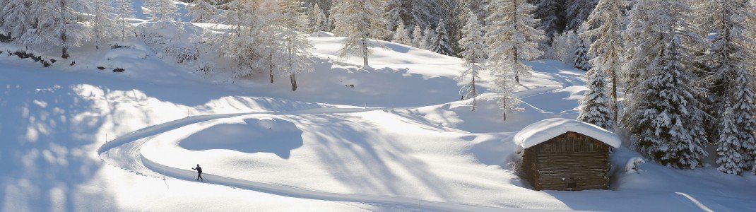 Die winterliche Natur in vollen Zügen genießen - das kann man am besten beim Langlaufen!