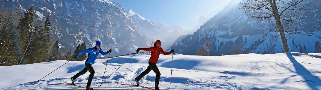 Beim nordischen Skisport werden rund 90 Prozent aller Muskeln beansprucht.