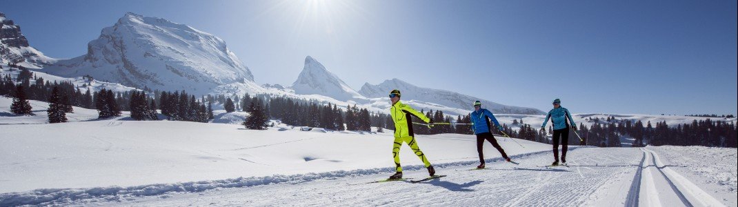 Viele Wintersportgebiete locken mit einem umfassenden Langlaufangebot.