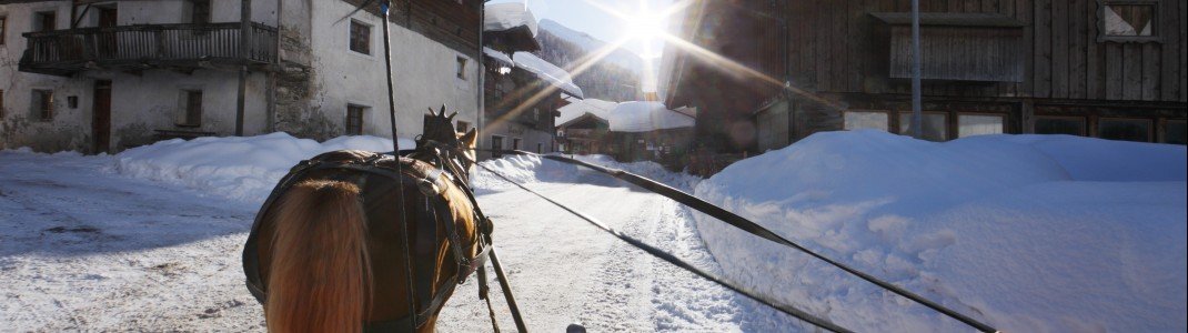 Herrlich entspannend: Eine Pferdeschlittenfahrt durch die Winterlandschaft rund um Pfelders.