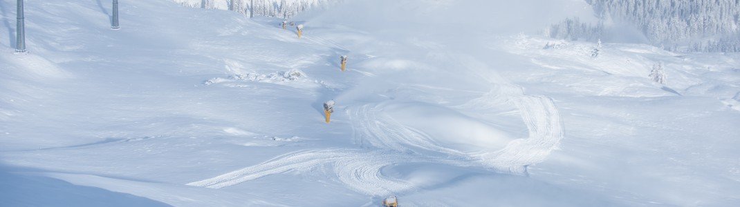 Aktuell in Laax.