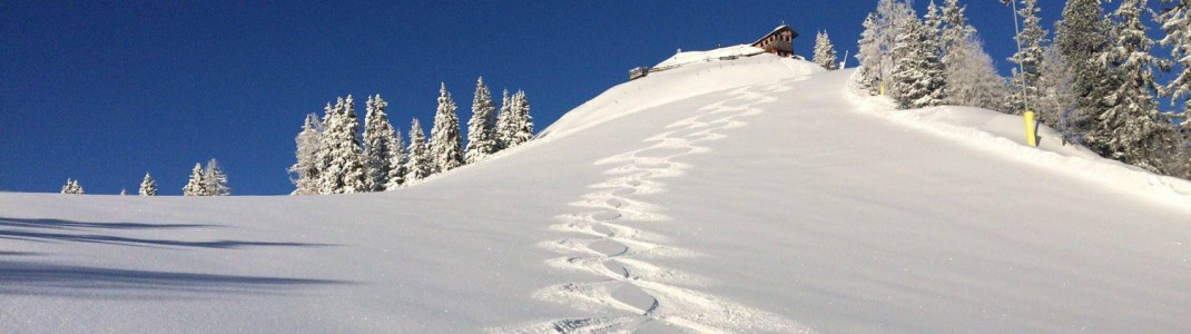 Das gibts auch nur selten: An Ostern konnten Skifahrer in Schladming im frischen Neuschnee powdern.