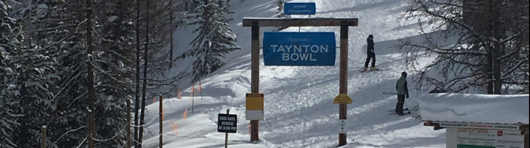 Die Taynton Bowl ist bei frischem Neuschnee eine der beliebtesten in Panorama.