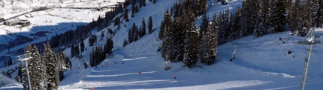 View of the intermediate terrain at the "Collins lift"