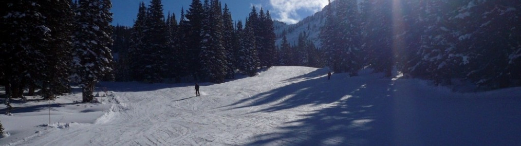 Easy terrain at the "Sunnyside lifts"