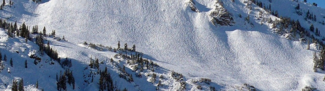 infinite powder runs in the "East Greeley"