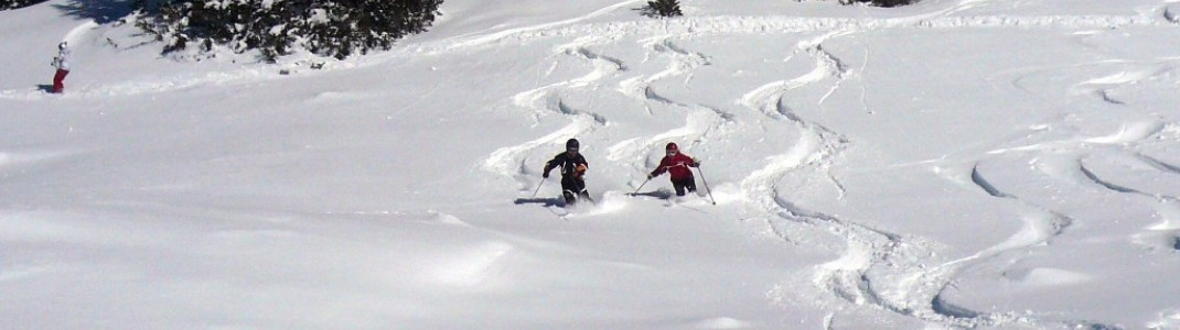 powder in the "Catherine`s Area"