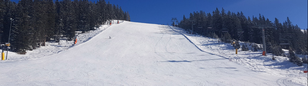 Beginners will find wide and well-prepared pistes at See.