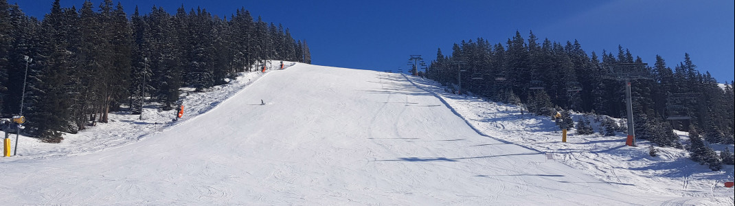 Skiing fun due to well-prepared wide pistes!