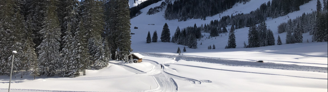 The cross-country ski trails are also perfectly groomed.