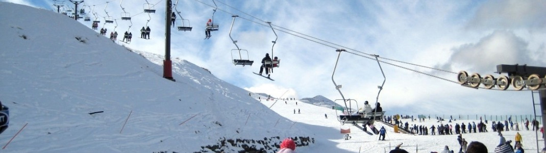 "Meadows Chair" and the "Magic Carpet"