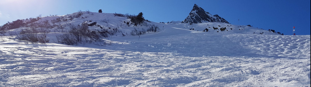 The mogul slope belongs to Sector 03 and is waiting for experts next to slope no. 16.