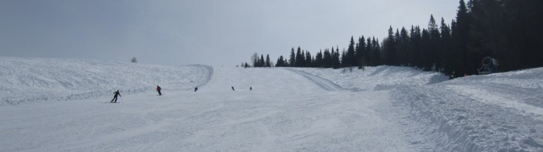 Red Neugarten slope