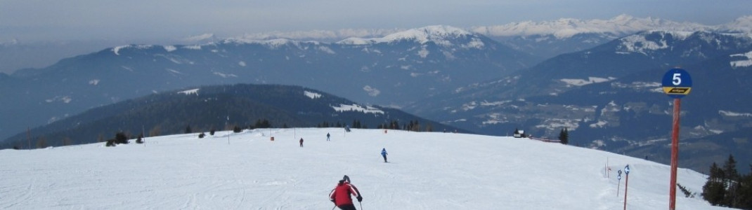 Upper area of the blue Neugarten slope