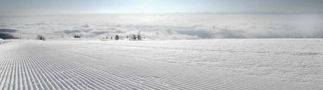 The slopes are in great conditions.