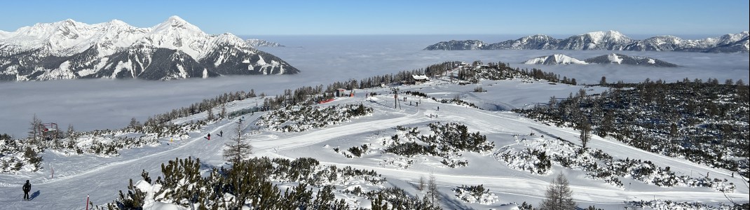 The Panorama slopes around Schafkogel are easy to handle.