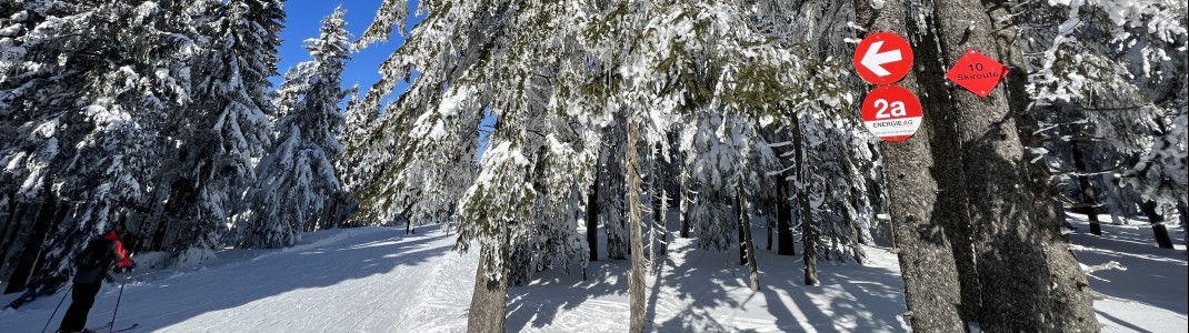 You can get to ski route 10 from Hochficht via Schönbergabfahrt 2a.