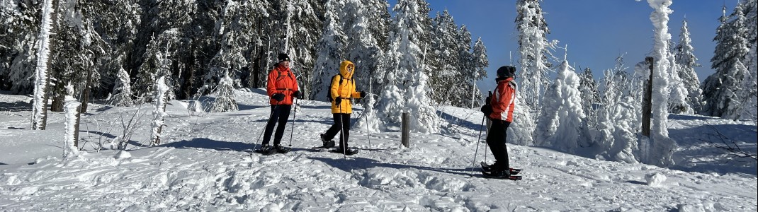 The Hochficht area is also popular with snowshoe hikers.