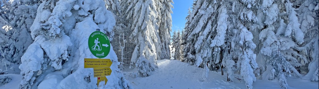 There are beautiful winter hiking trails at the Hochficht.