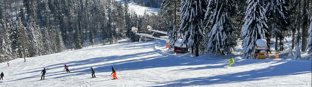 Snow cannons on the Zwieselberg downhill run FIS