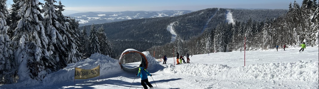 Funslope with wave trail and tunnel at Reischlberg.