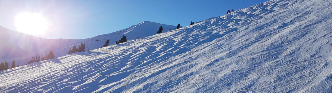 Skiers enjoy a great variety of runs at Marmot Basin.