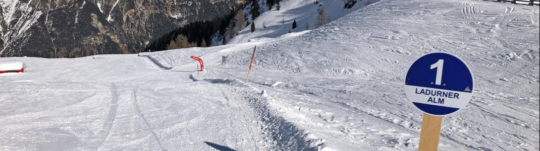 The "Ladurner Alm" slope is on the right of the "Wastenegg-Bahn".