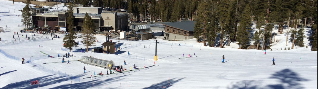 View of the beginners area at Festival Poma Lift near Canyon Lodge.