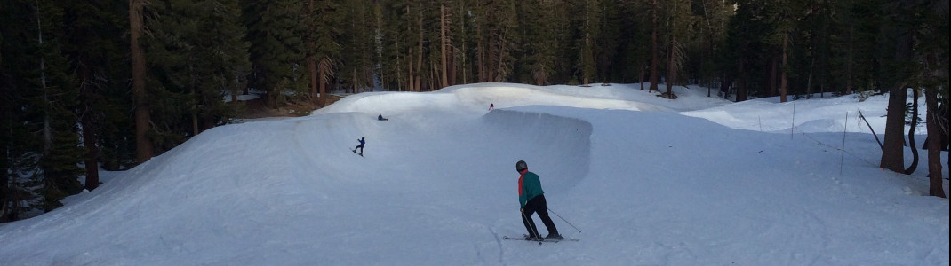 Perfect for freestyle newcomers: Wonderland Playground Park