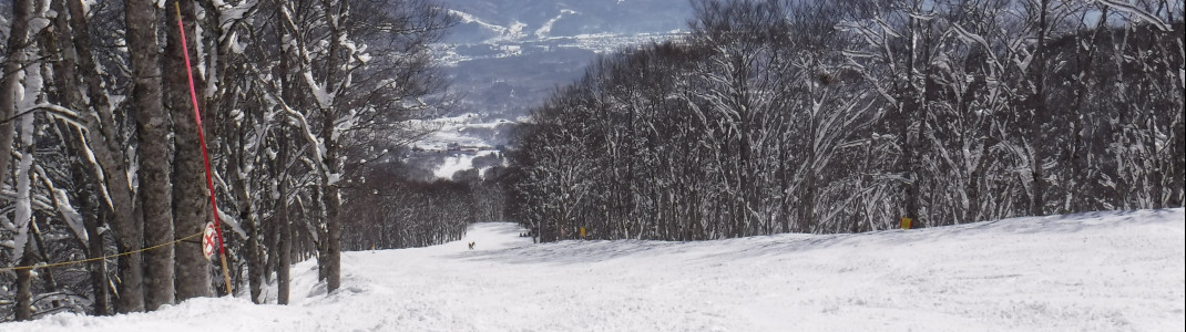 Even beginners can ski well on the flat, wide slopes.