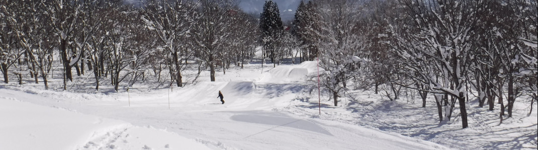 There are several terrain parks in Myoko Kogen.