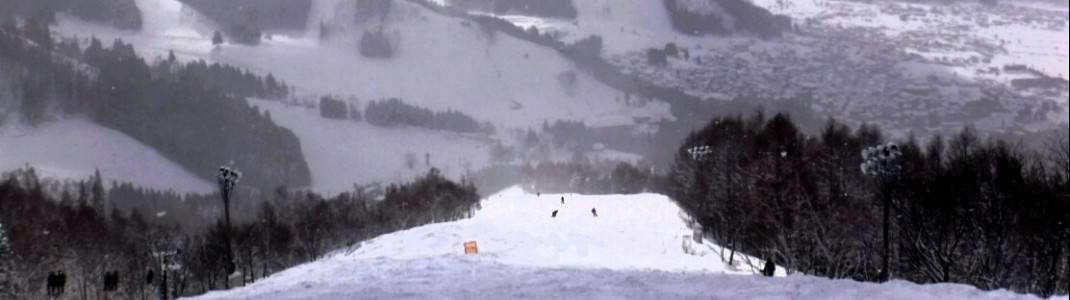 View of the Paradise slope