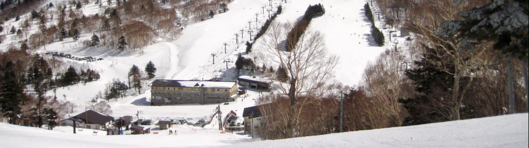 In Takamagahara Mammoth there are some moguls waiting for you