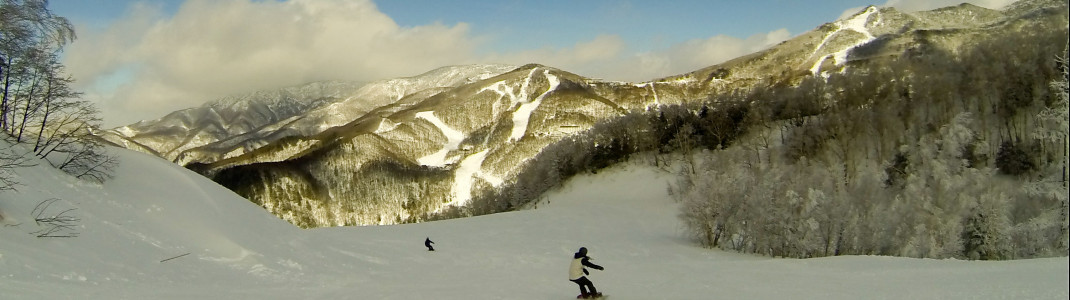 Slope at Giant Resort