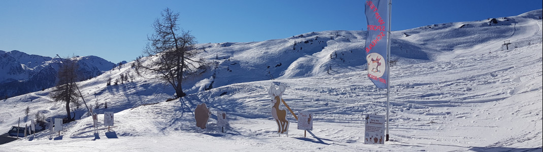 On the family slope kids can discover the animals of the winter forest.